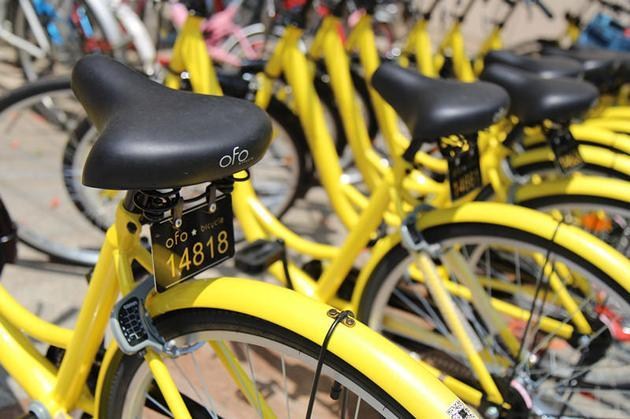 ofo bicycle