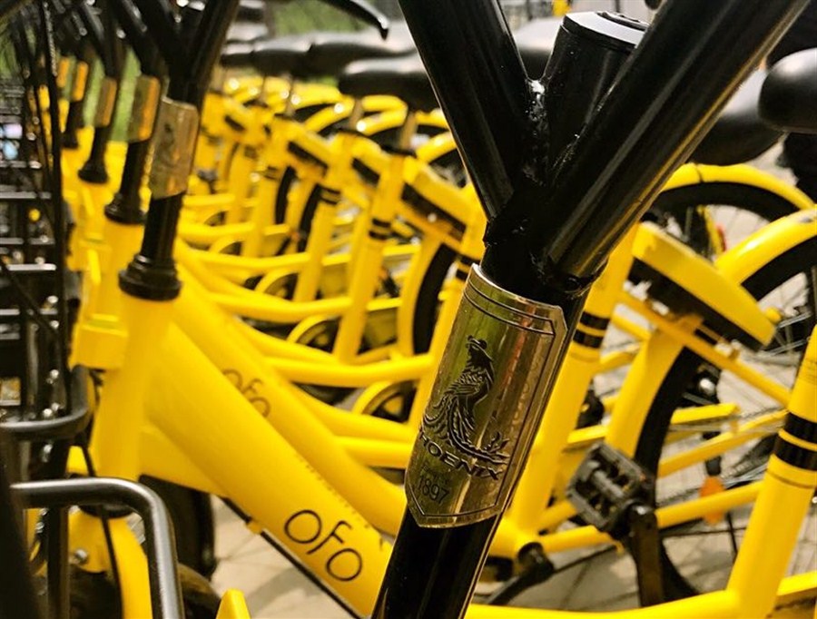 ofo bike company