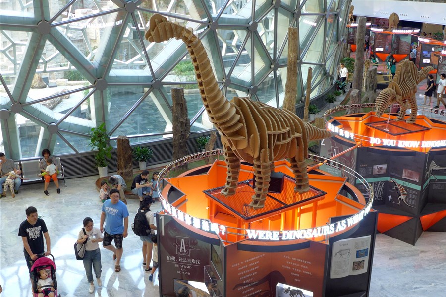 Went to the Shanghai Natural History Museum Today. I Think the