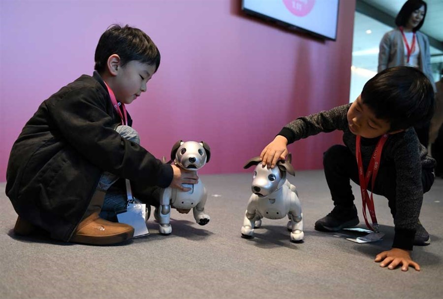 the $3000 sony aibo robot dog